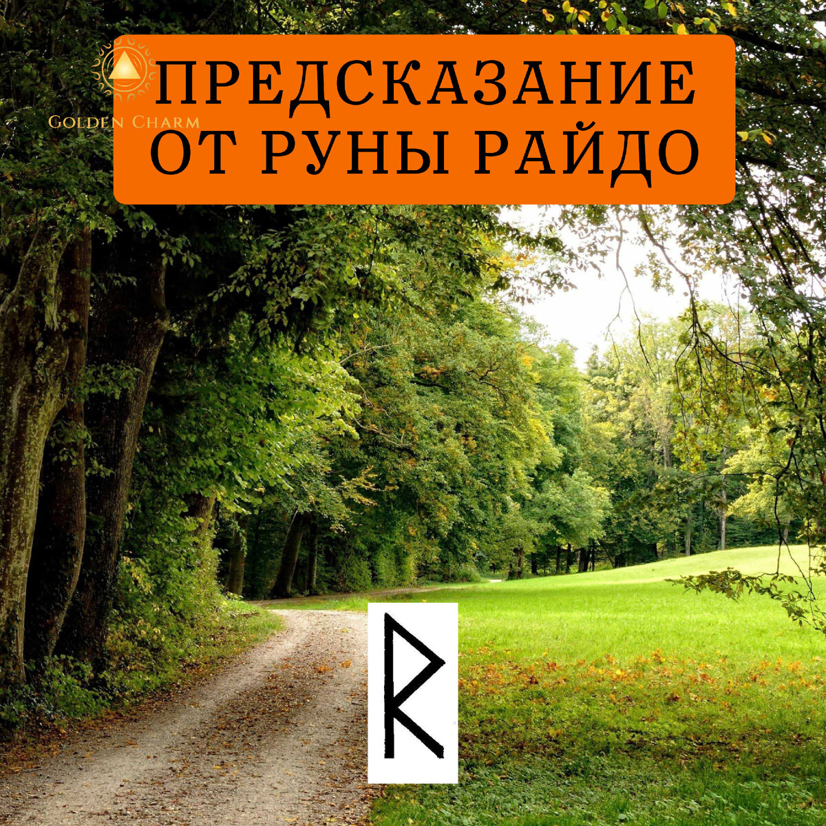 По моему плану проходила поездка