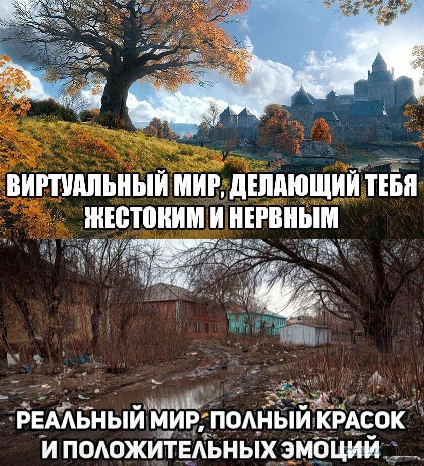 Очень верный мем. Фото с просторов интернета.
