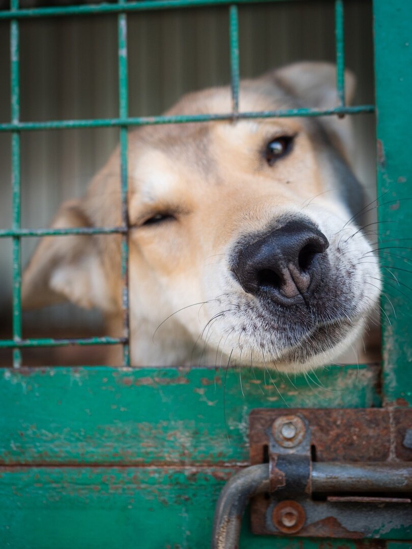 Фото- собственность канала