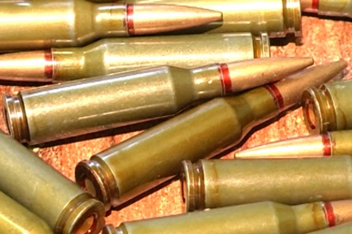    Жители губернии сдали в полицию 2,5 кг пороха, 7900 патронов, 13 ружей