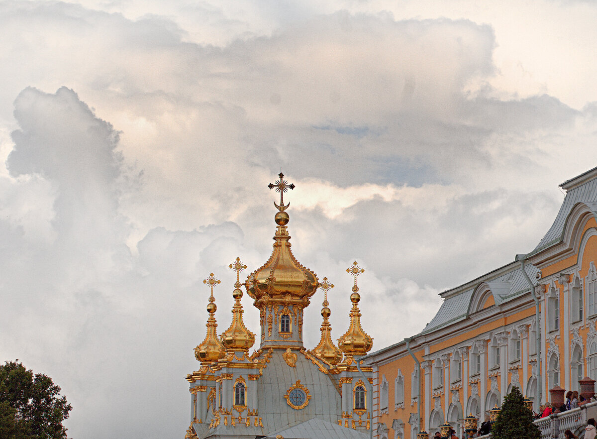 фото автора 