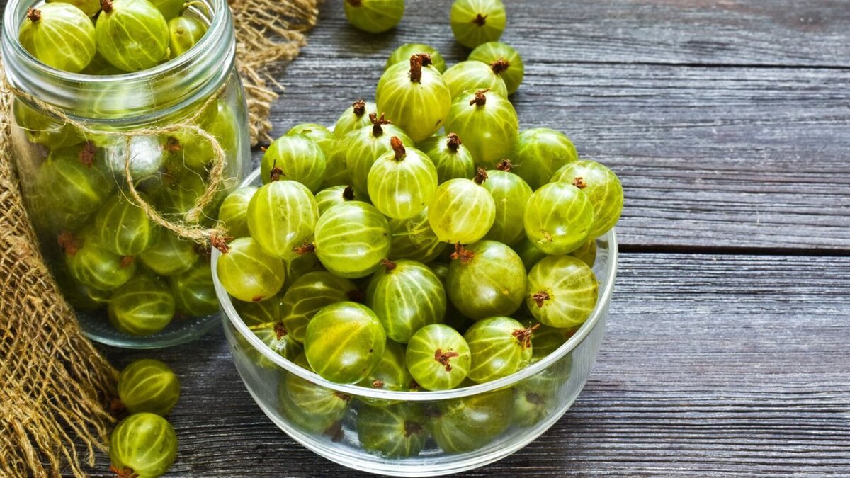   Iryna80/Shutterstock.com