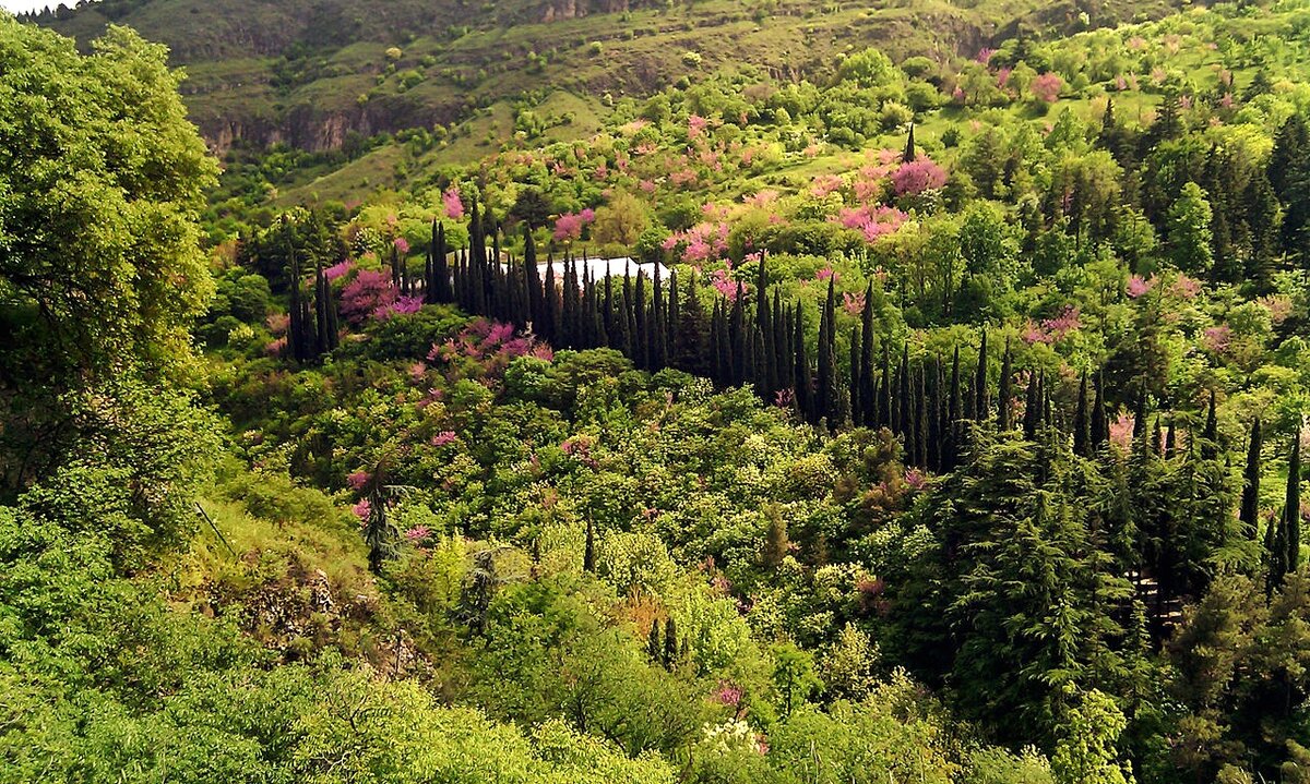 Ботанический сад в Тбилиси, очень красивый 