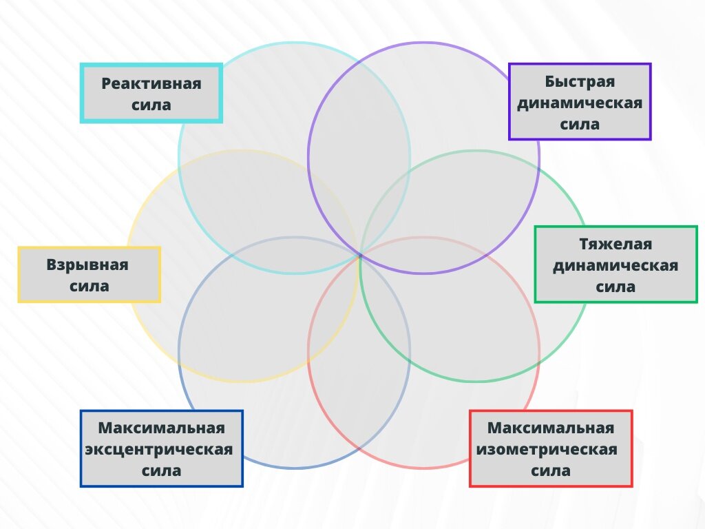 Типы силы. Схема.