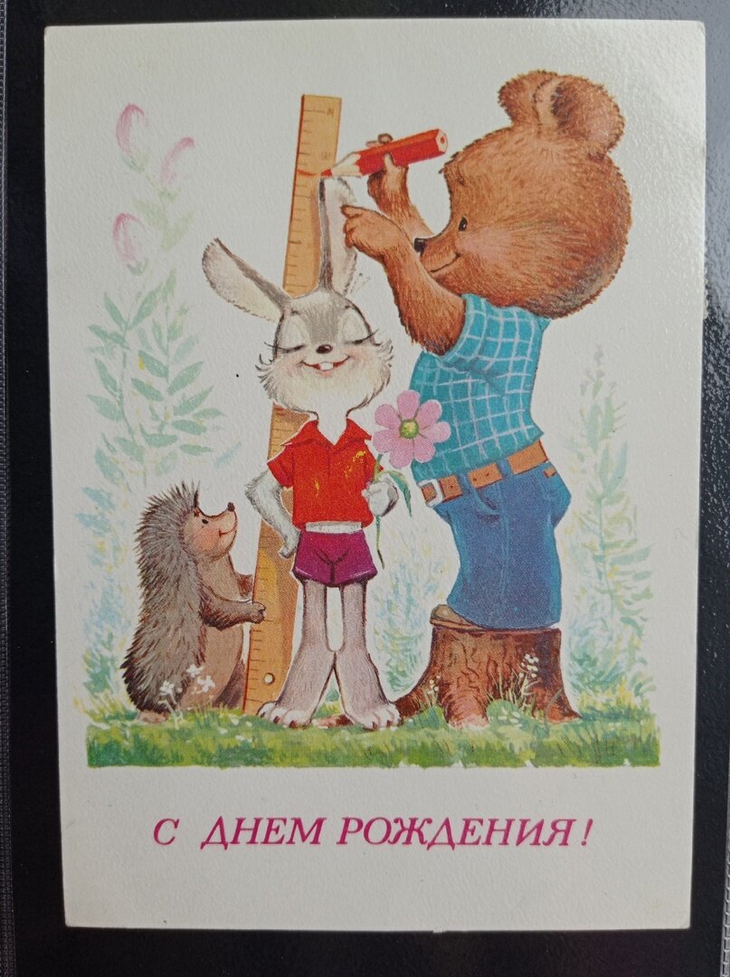 Любимые открытки Владимира Зарубина | Яркая летняя подборка для ...