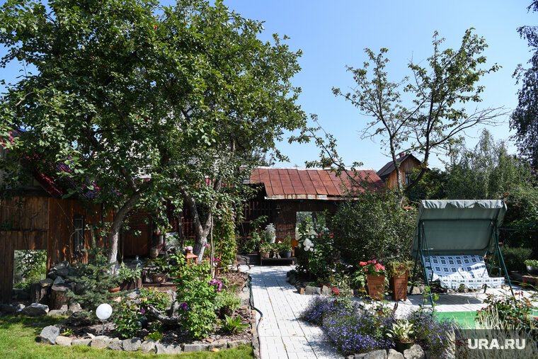    Самые выгодные месяцы для покупки дачи в СНТ — январь и февраль