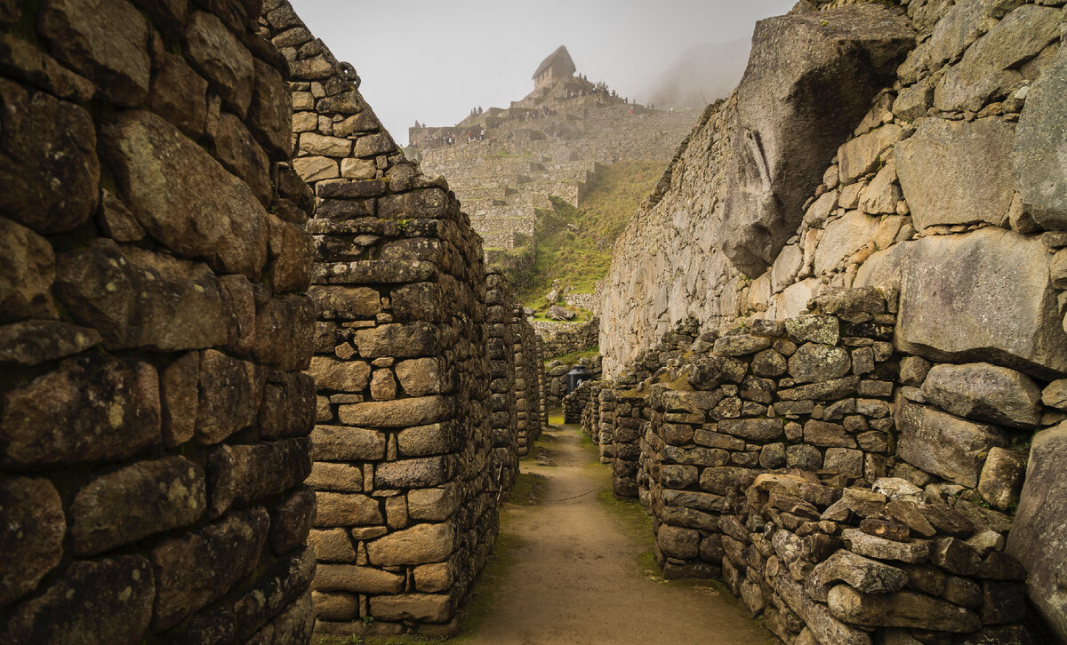 Photo by Willian Justen de Vasconcellos on Unsplash
  