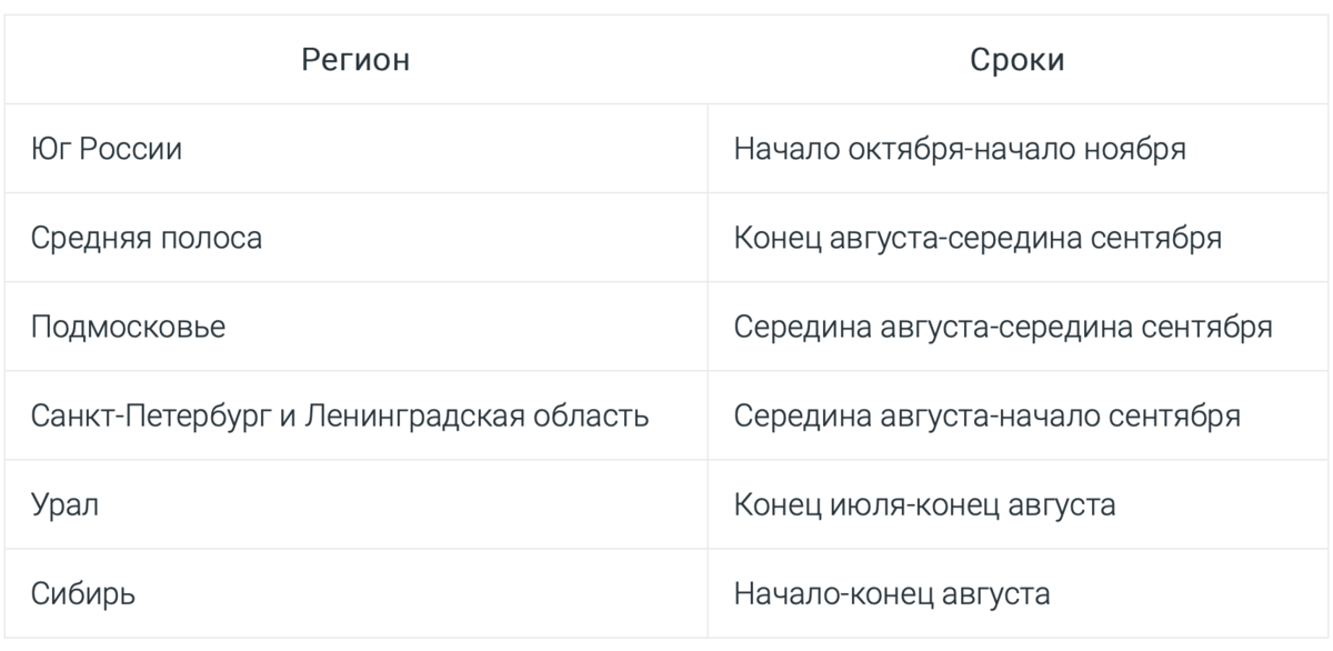 Рассказываем, можно ли высаживать клубнику осенью и как правильно определить сроки посадки ягодника. Большому урожаю сладких ароматных ягод садовой земляники рады все.-3