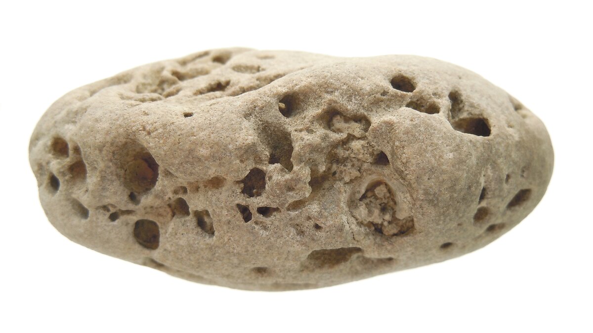 В прошлом году я обещал опубликовать это сенсационное открытие. Но до нынешнего момента это было невозможно. Теперь обстоятельства изменились, но всё же объект будет ещё исследоваться и изучаться.-3