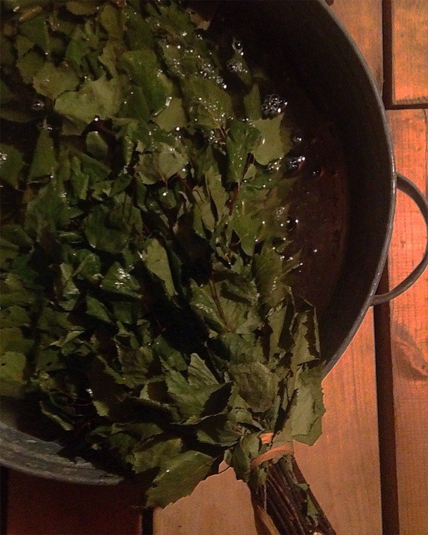 Запариваем березовый веник в тазу с горячей водой