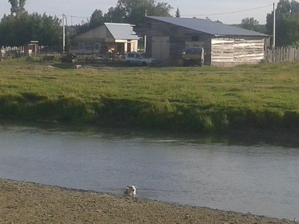Бублик в речке.