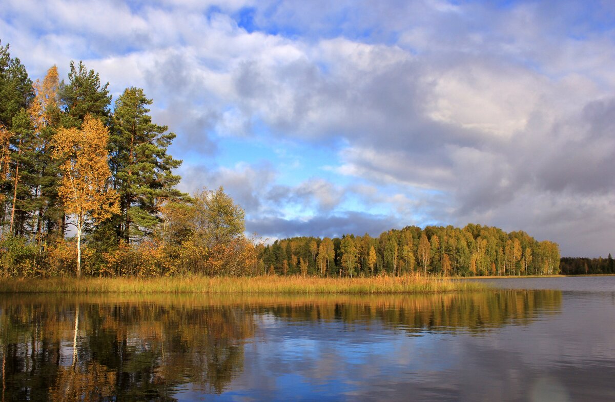 Осень тишина. Осенняя тишина природа. Карелия тишина. Головинский осенняя тишина.