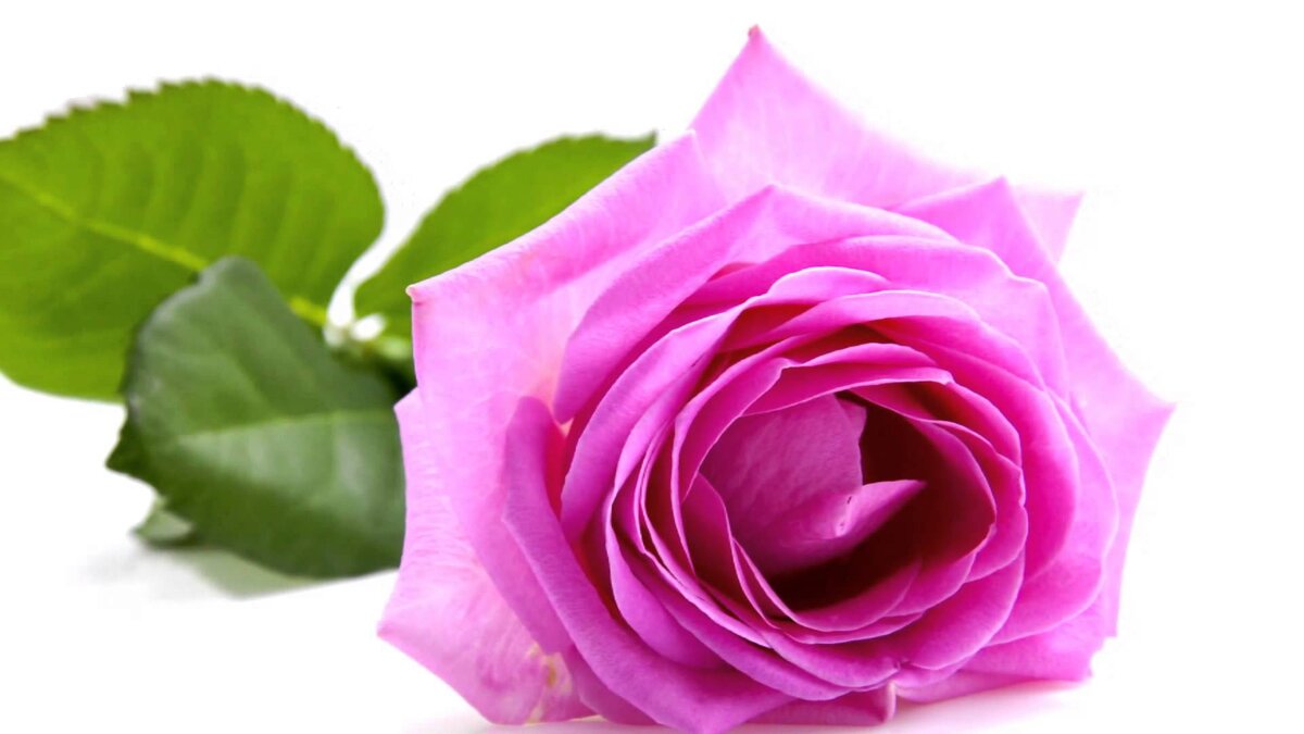 До свадьбы с Олегом, его мать была просто душка: обходительная, внимательная. 