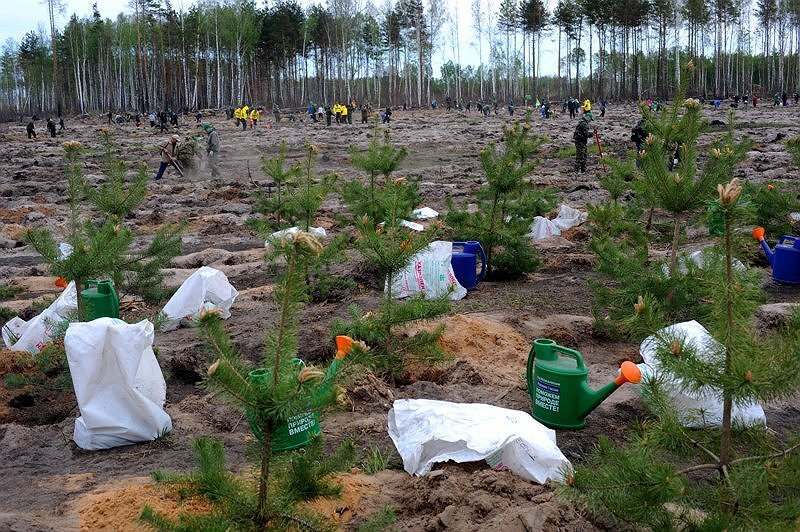 gimn.chernyahovsk.ru