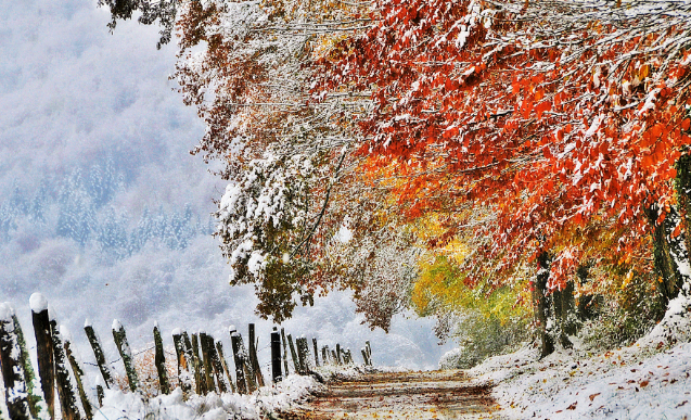 первый снег.