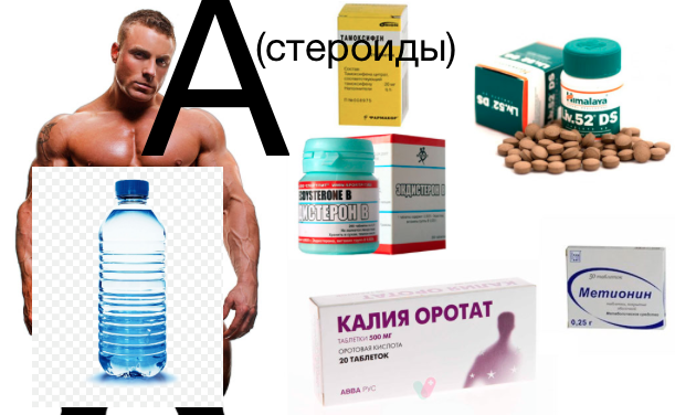 https://builderbody.ru/legalnye-steroidy-v-apteke/