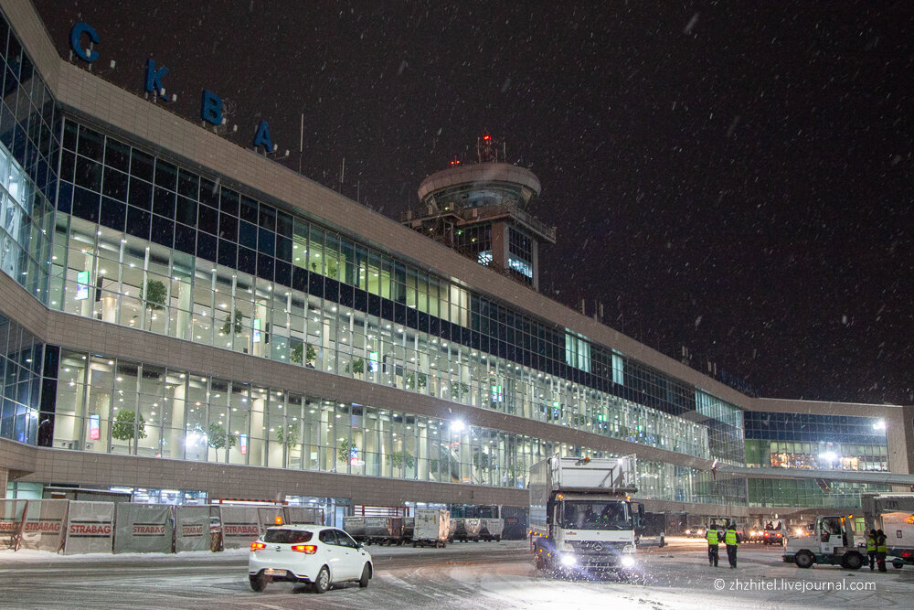 Москва салехард домодедово