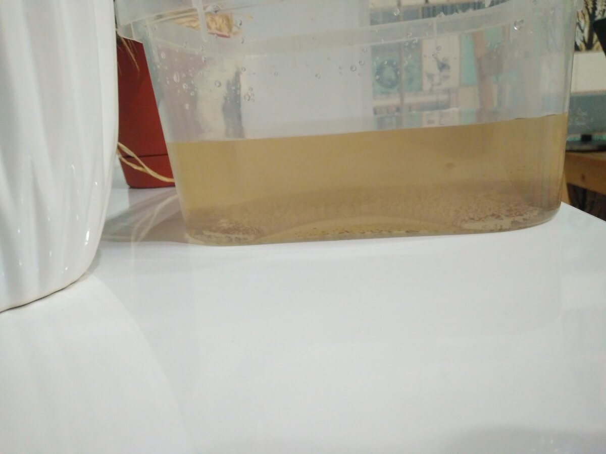 Вот так у меня выглядит вода слитая из корпуса фильтра. 