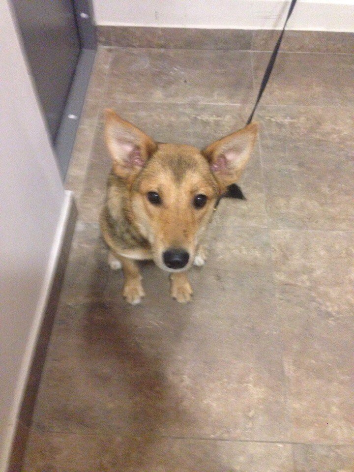 Маняша первый день с нами