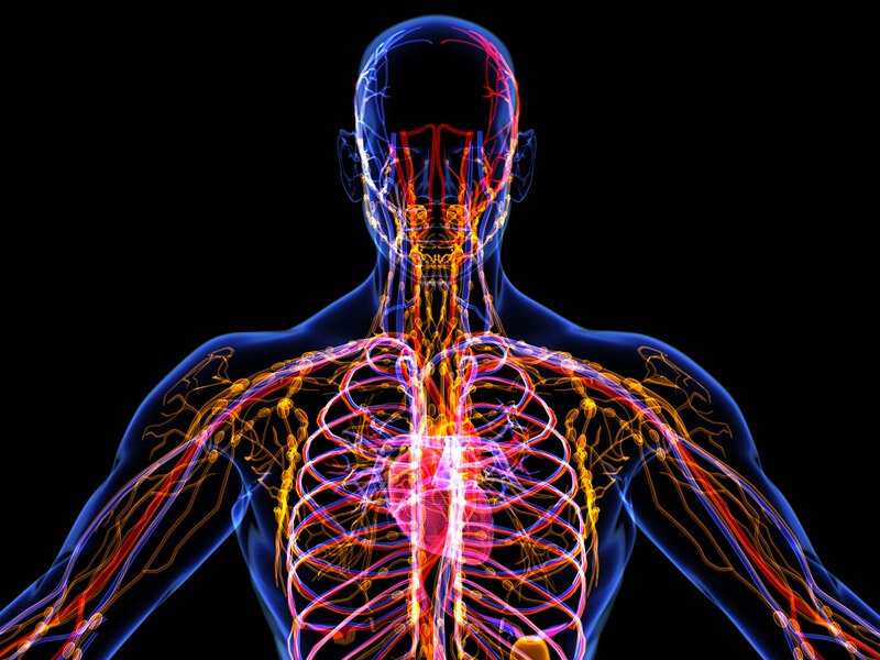 Спасибо, что посетили наш канал!