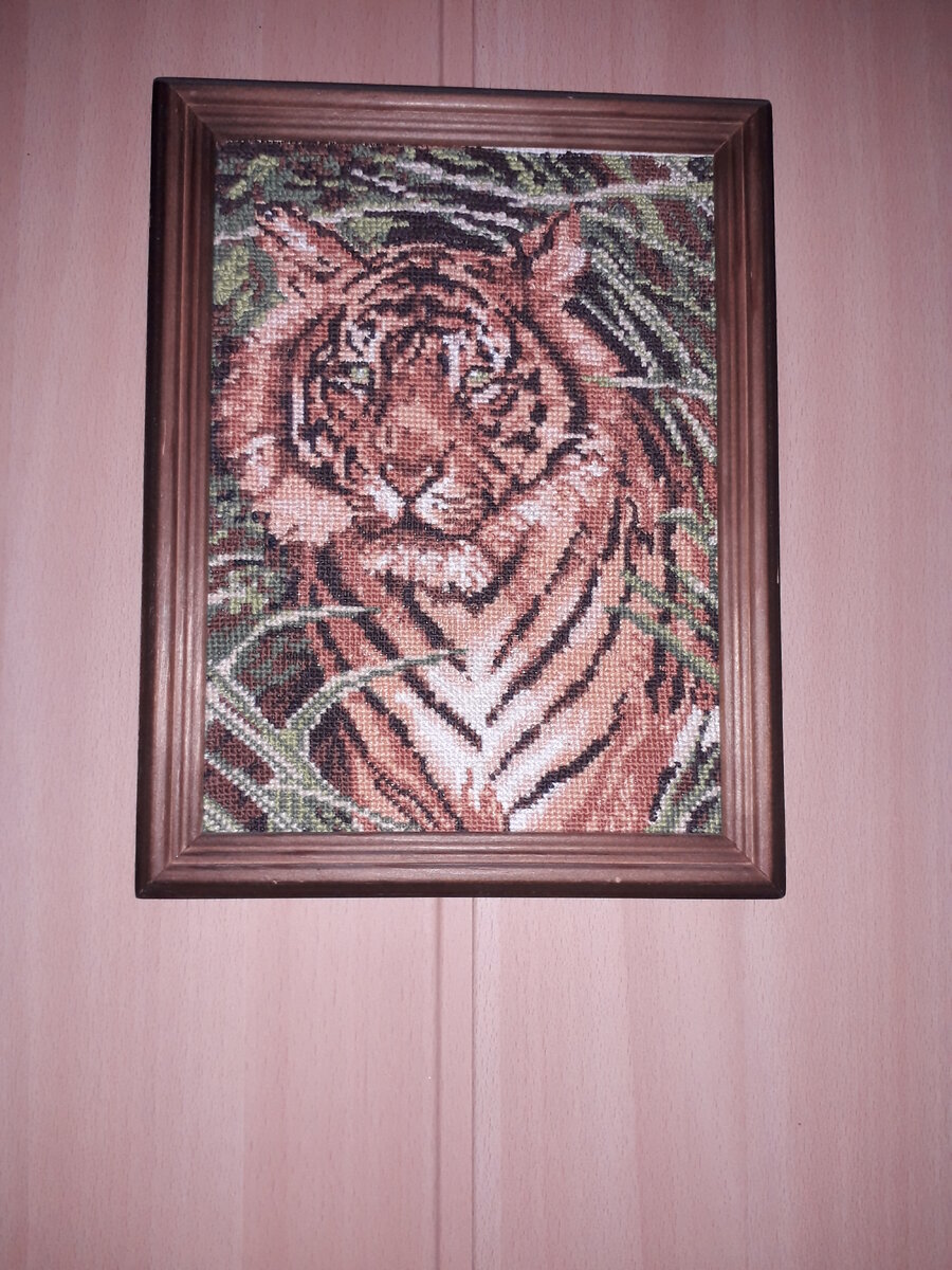 моя первая работа