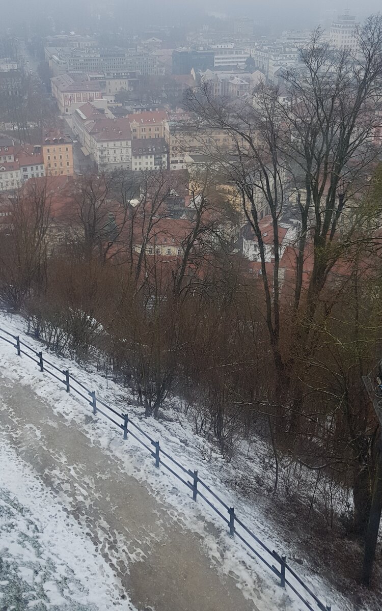 Город с высоты птичьего полета. Фото автора.