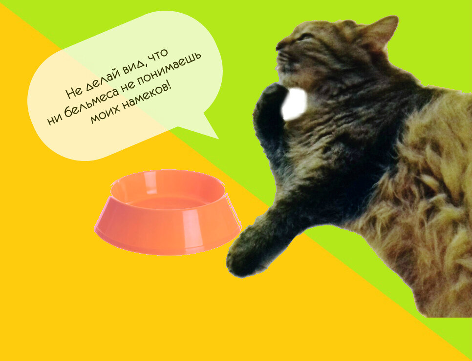 Авторское фото