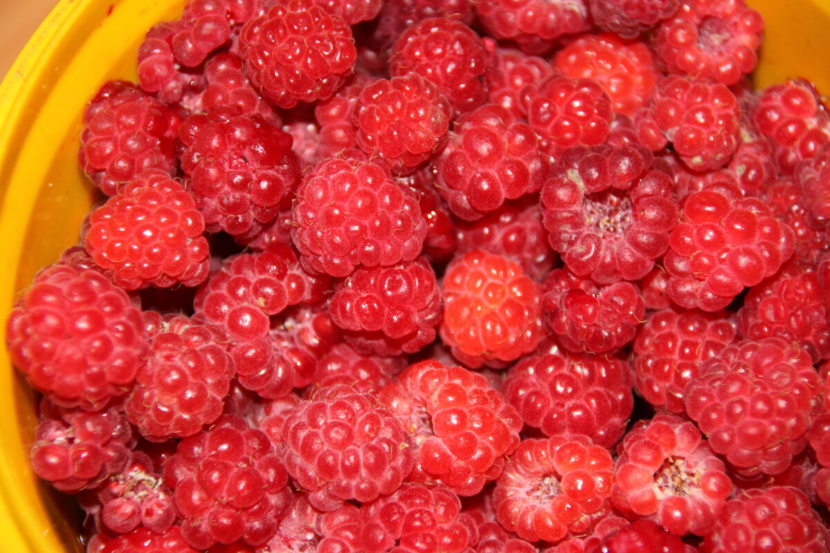 45 - баба ягодка опять