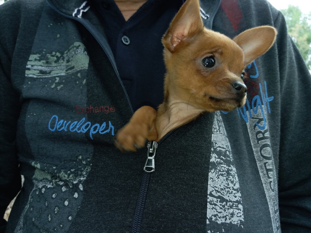 Взгляд устремленный в светлое будущее!