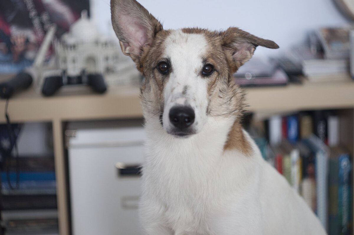 Аляске 1 год, она разбила банку с вареньем и вся в ней извалялась :)