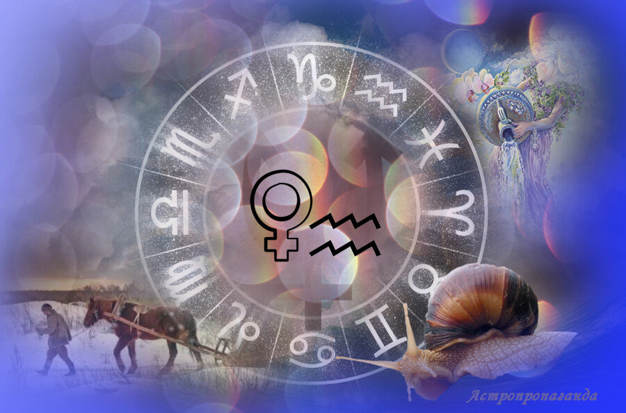 Коллаж Нины Стрелковой.