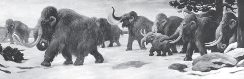                           Изображение взято с сайта nemaloknig.com.