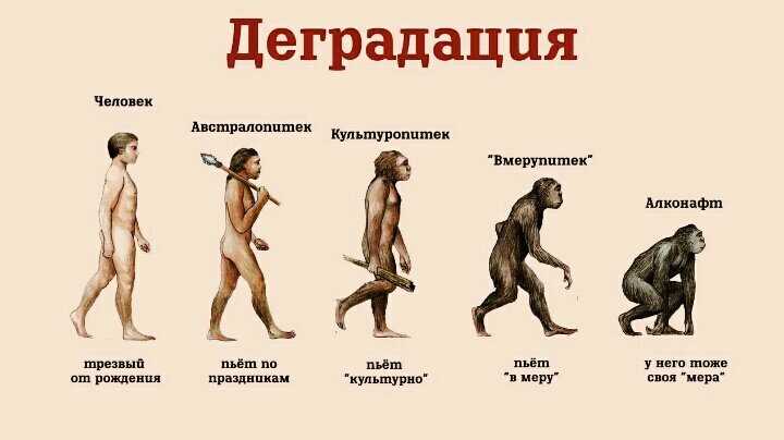 Фото взято из открытого источника в интернете.