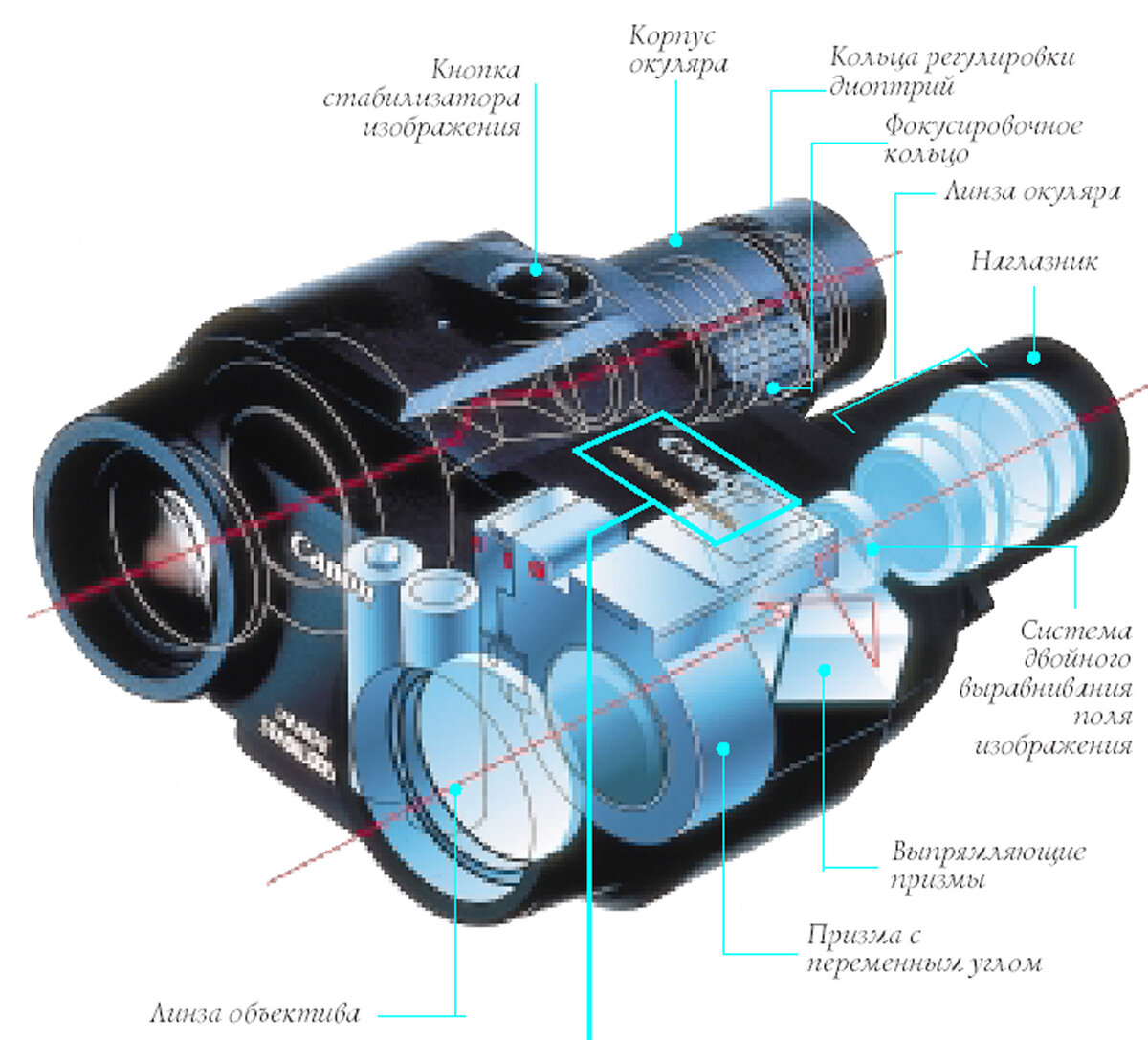 Бинокли БПЦ