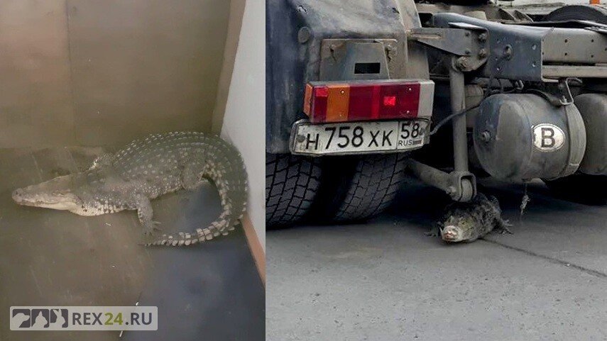 Фото: соцсети.