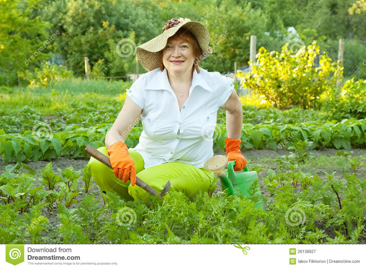 Источник фото: https://thumbs.dreamstime.com/z/%D0%B6%D0%B5%D0%BD%D1%89%D0%B8%D0%BD%D0%B0-%D1%80%D0%B0%D0%B1%D0%BE%D1%82%D0%B0%D1%8F-%D0%B2-%D0%BE%D0%B3%D0%BE%D1%80%D0%BE%D0%B4%D0%B5-26138927.jpg