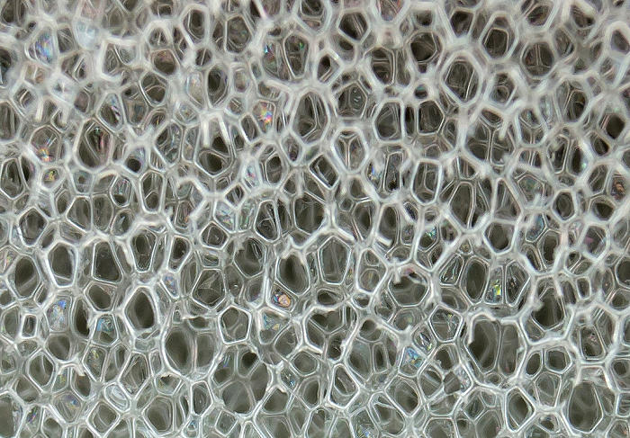 Структура поролона под микроскопом. Сухое темное место, где практически невозможно тщательно убрать - идеальный "дом" для насекомых