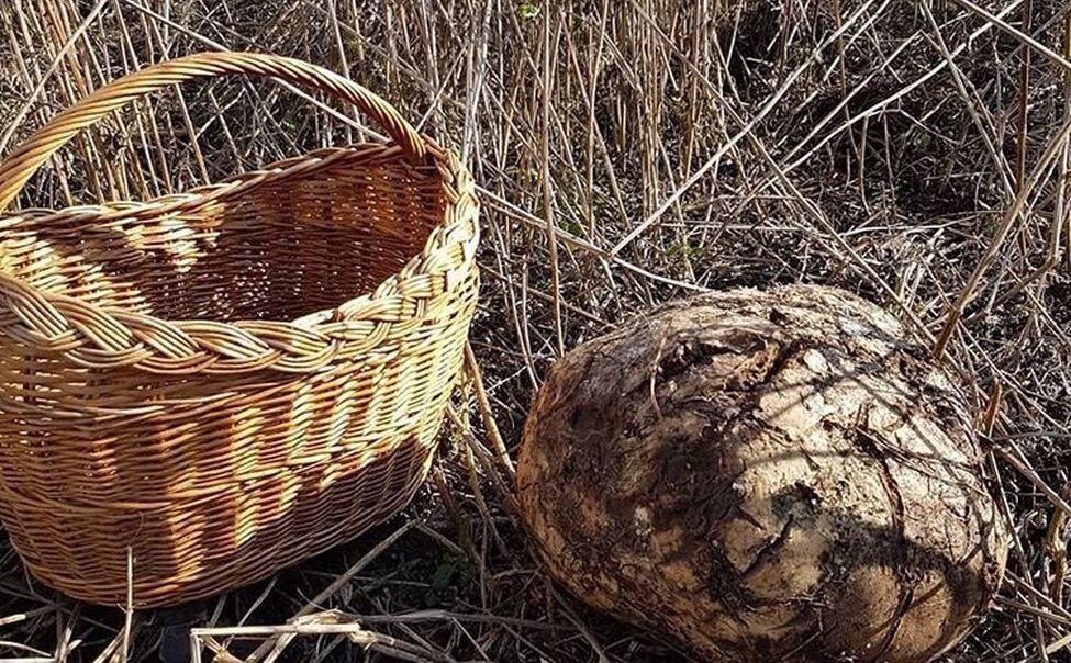 Фото со страницы Instagram Сергея Иванова 