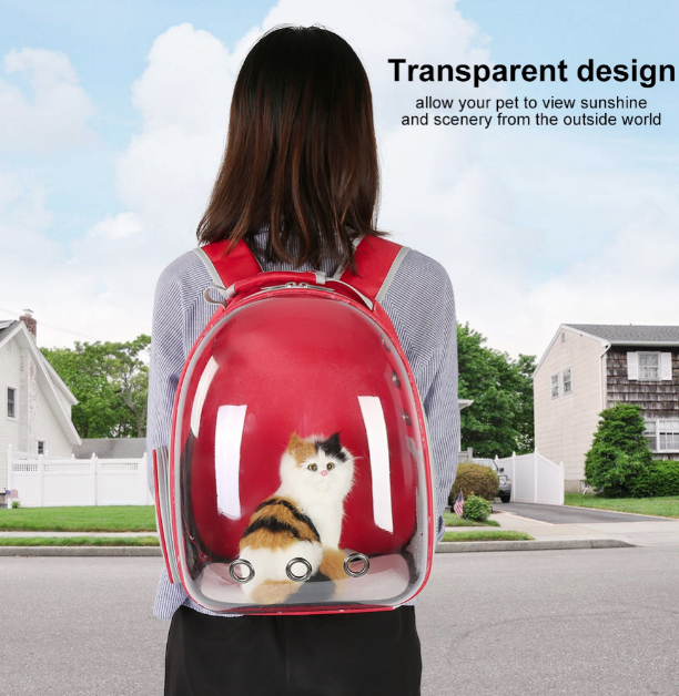 фото взято с сайта Aliexspress для демонстрационных целей