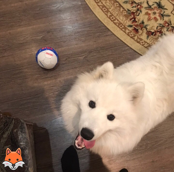 Играем в мячик!