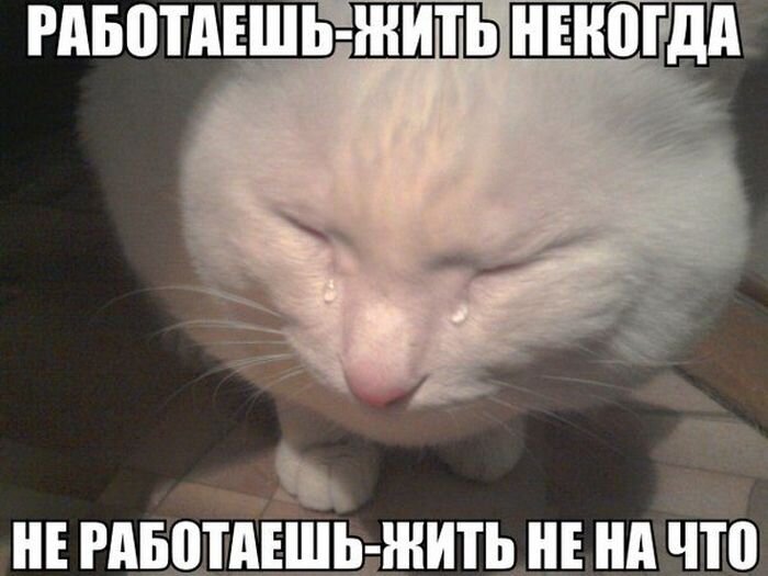 Всем доброго времени суток. 
Если вы думаете, что все муниципальные служащие получают бешеные деньги при этом ничего не делаете вы очень глубоко заблуждаетесь. 
Каждый день я выслушиваю тучу критики в свой адрес, что конкретно я очень плохо делаю и столько же советов как правильно сделать, хотя то что они мне говорят никак не относится к моей работе, она даже к организации моей никак не относится