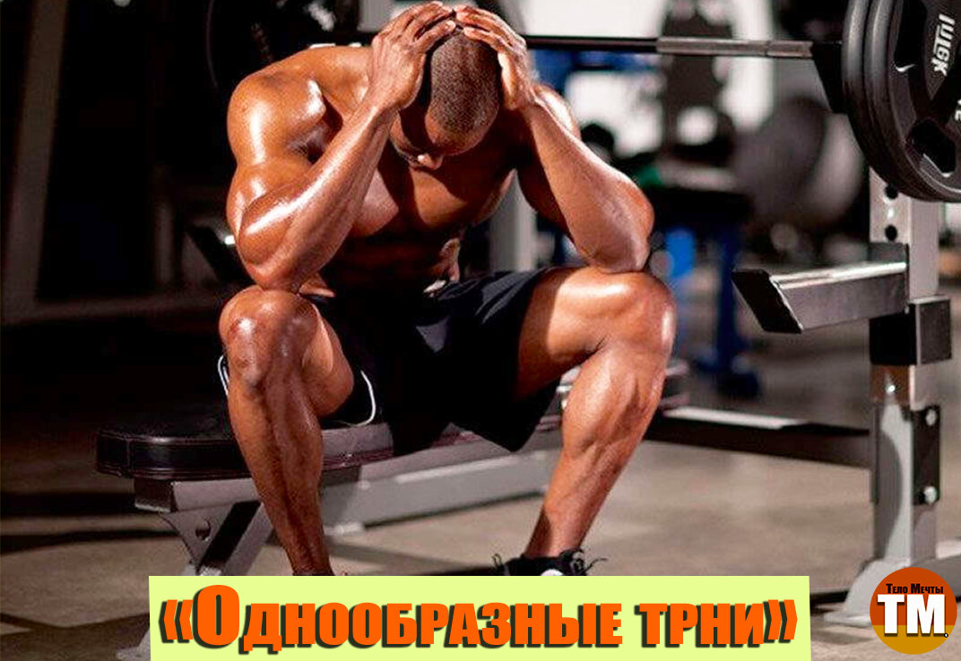 Авторская работа канала "Тело Меты (ТМ)"