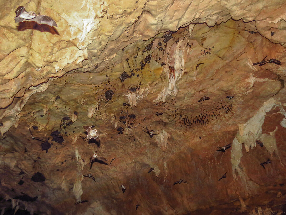 Мезмайская пещера Адыгея