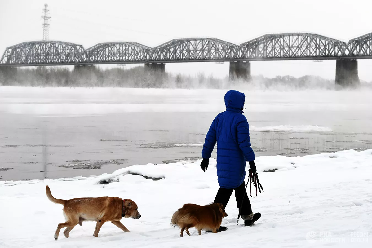 Женщина выгуливает собак у Комсомольского железнодорожного моста через реку Обь в Новосибирске. Архивное фото