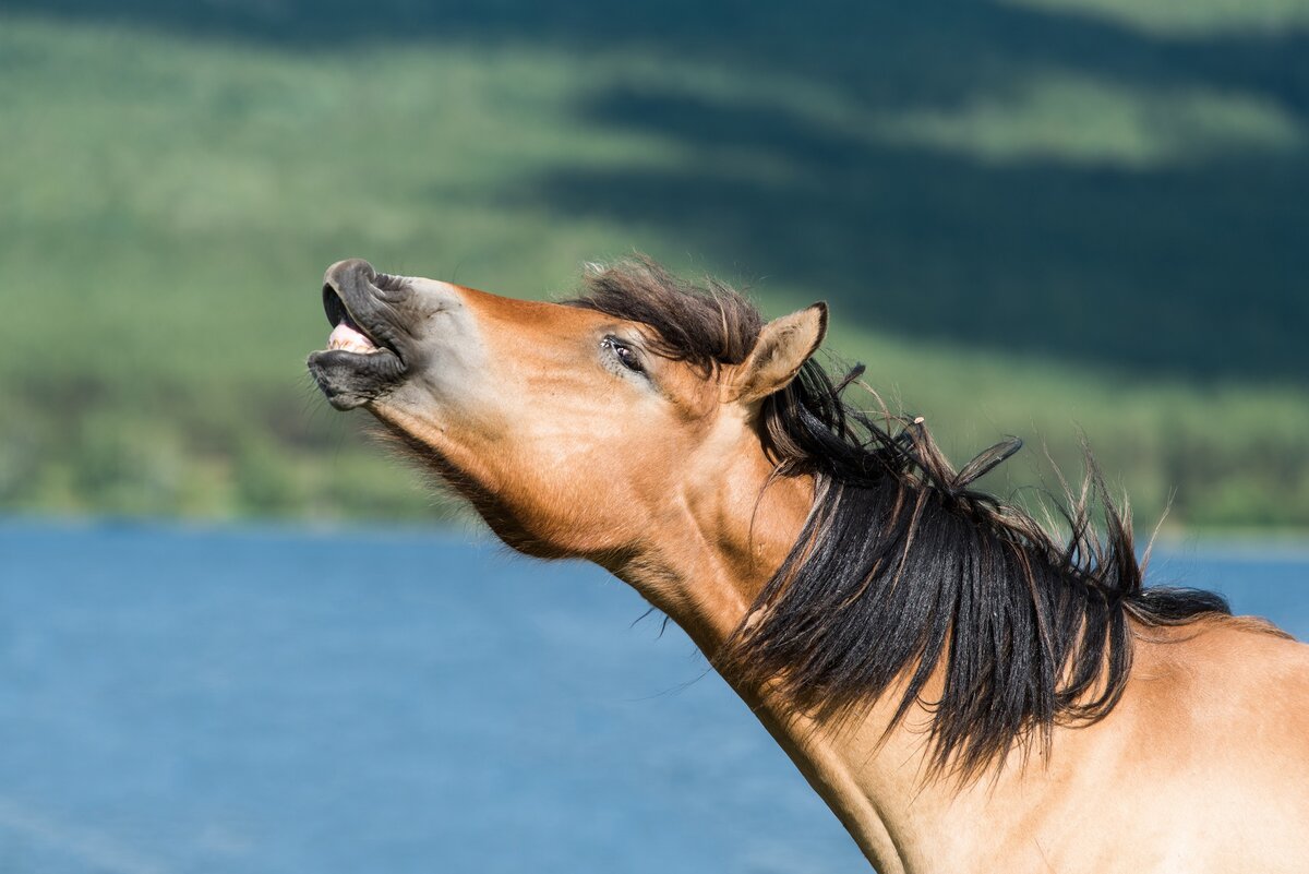 Фото из открытого источника.