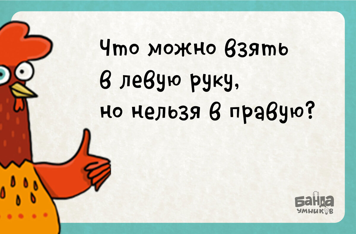 С какой птицы нужно ощипать перья, чтобы получились сразу утро, день, вечер  и ночь? 🦅 | Банда умников | Дзен