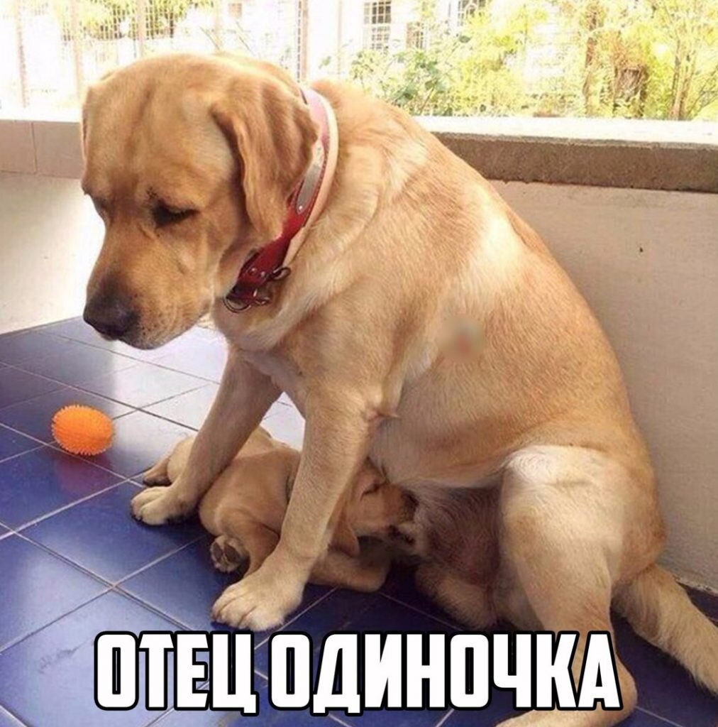 Источник: Яндекс.Картинки