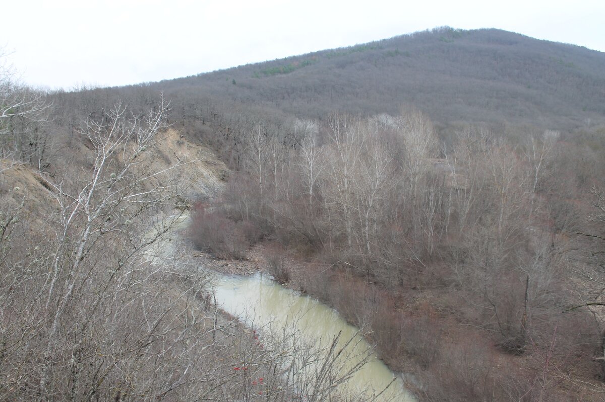 Предгорья Краснодарского края, в районе станицы Крепостная, декабрь, плюс 15!!! Потому и едут. 