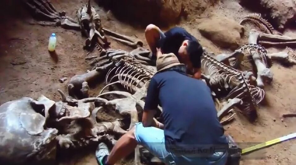 Источник яндекс картинки 