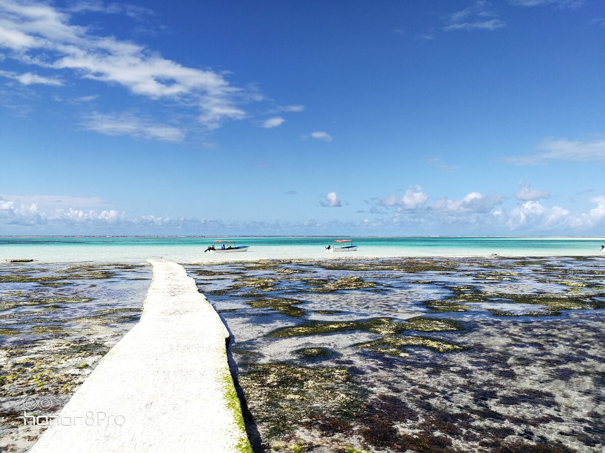 Отлив воды в океане. Мальдивы индийский океан отливы. Отлив океана Занзибар. Melia Занзибар пляж отлив. Zanzibar пляж отлив.
